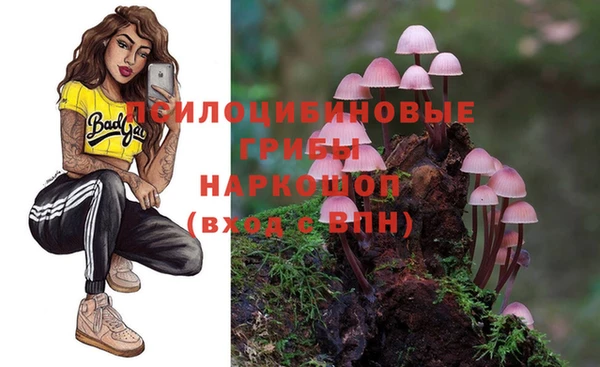 эйфоретик Волоколамск