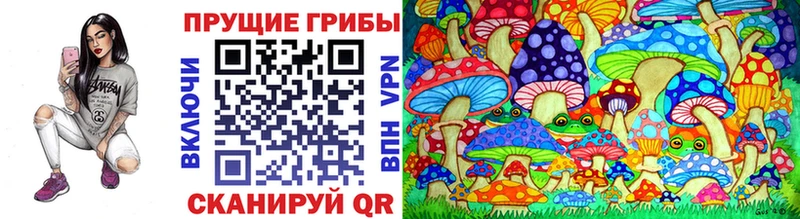 Купить  Буй  Псилоцибиновые грибы мицелий 